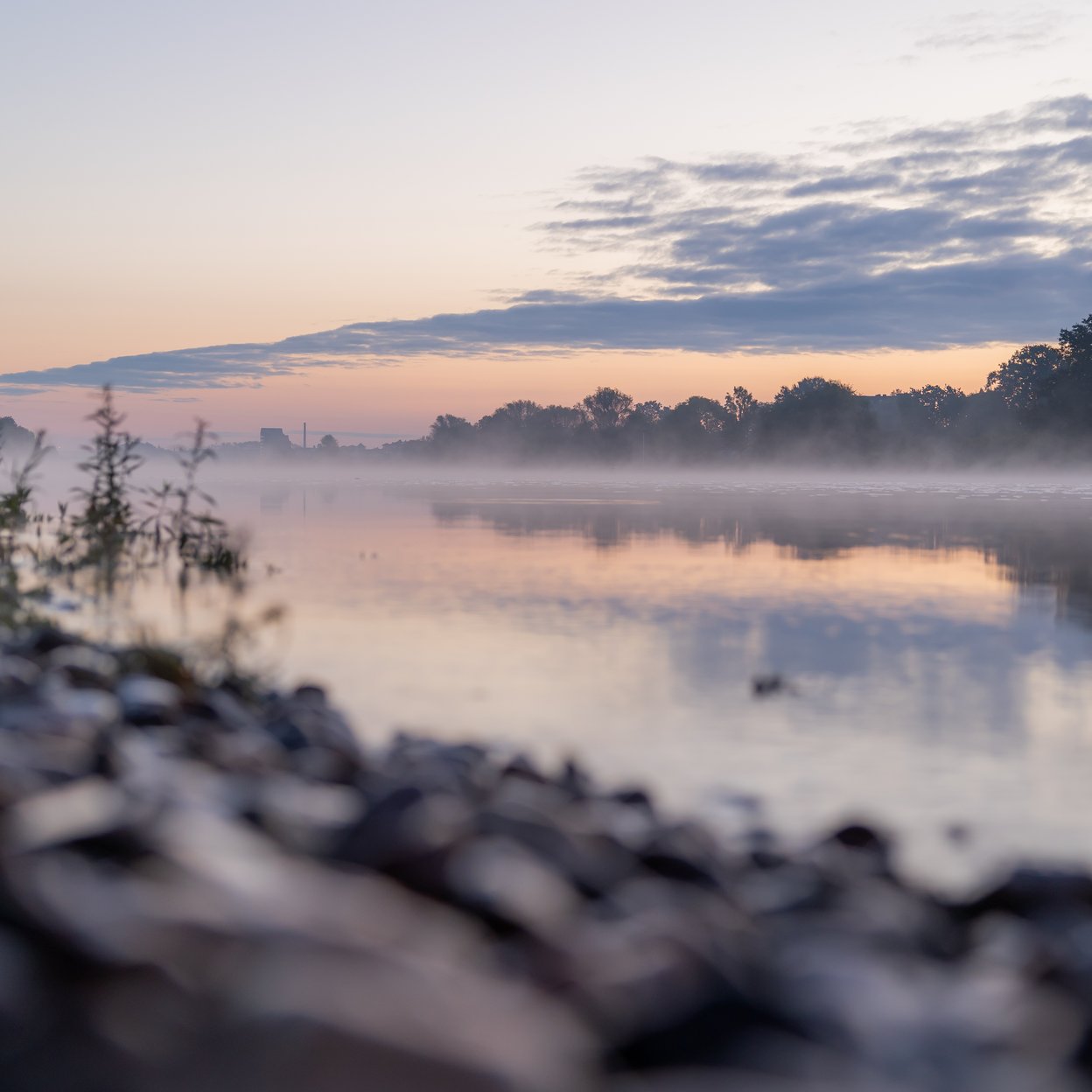 Mist over de waterkant in Nederland