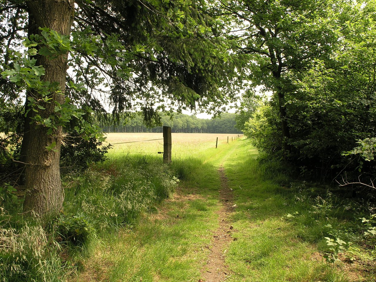 Combineer natuur en cultuur