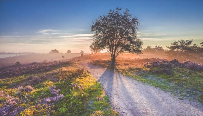 bigstock-Beautiful-Sunrise-In-A-Dutch-L-100118399.jpg