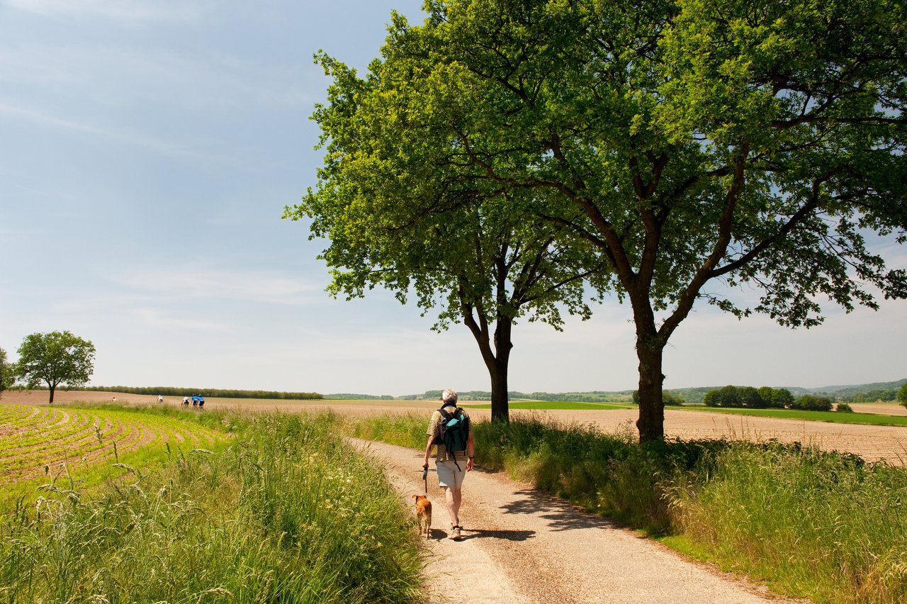 Combine history and nature
