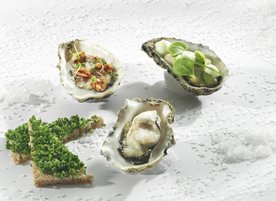 Parkhotel 0085 Oesters The Park.jpg