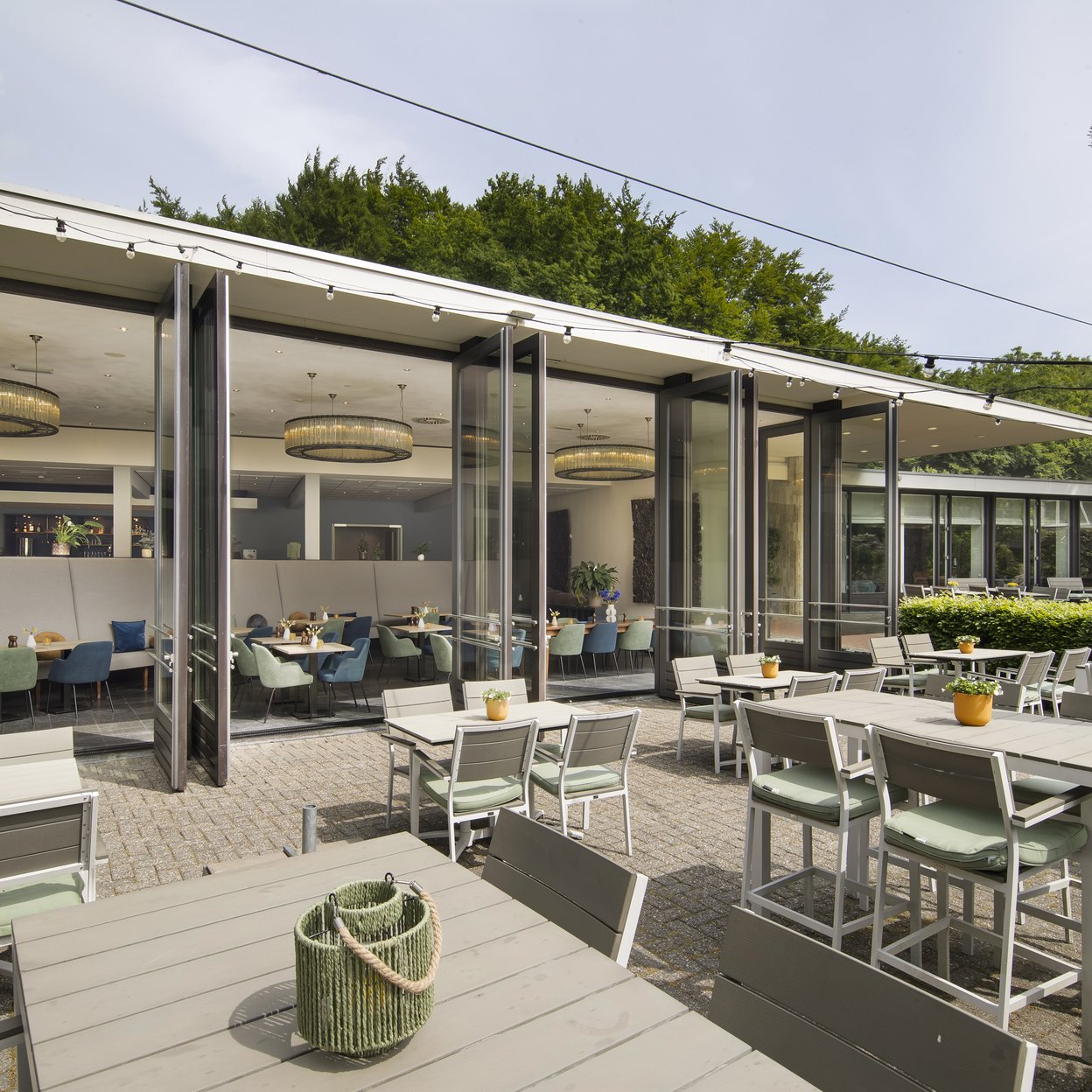 Terras