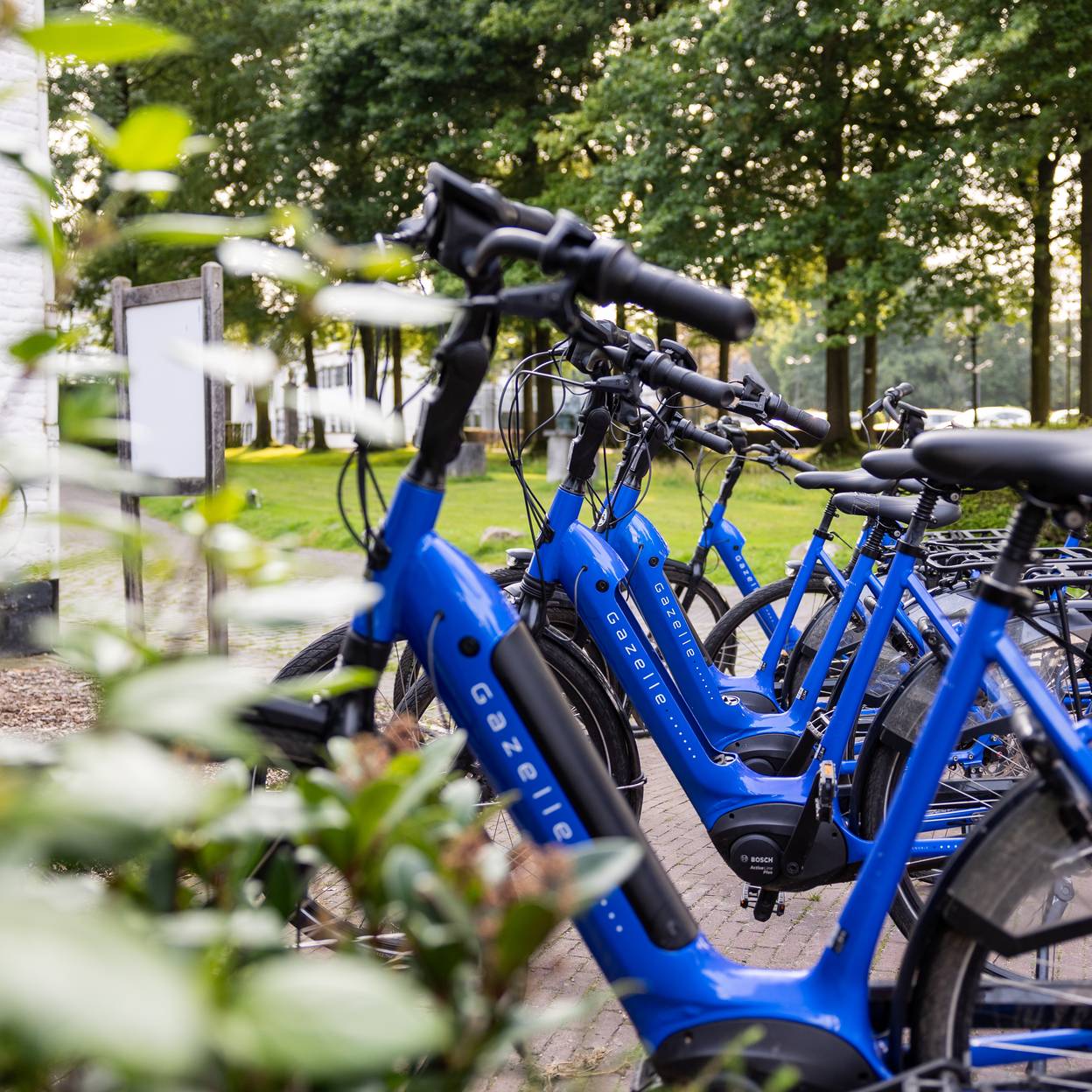 Blauwe geparkeerde fietsen