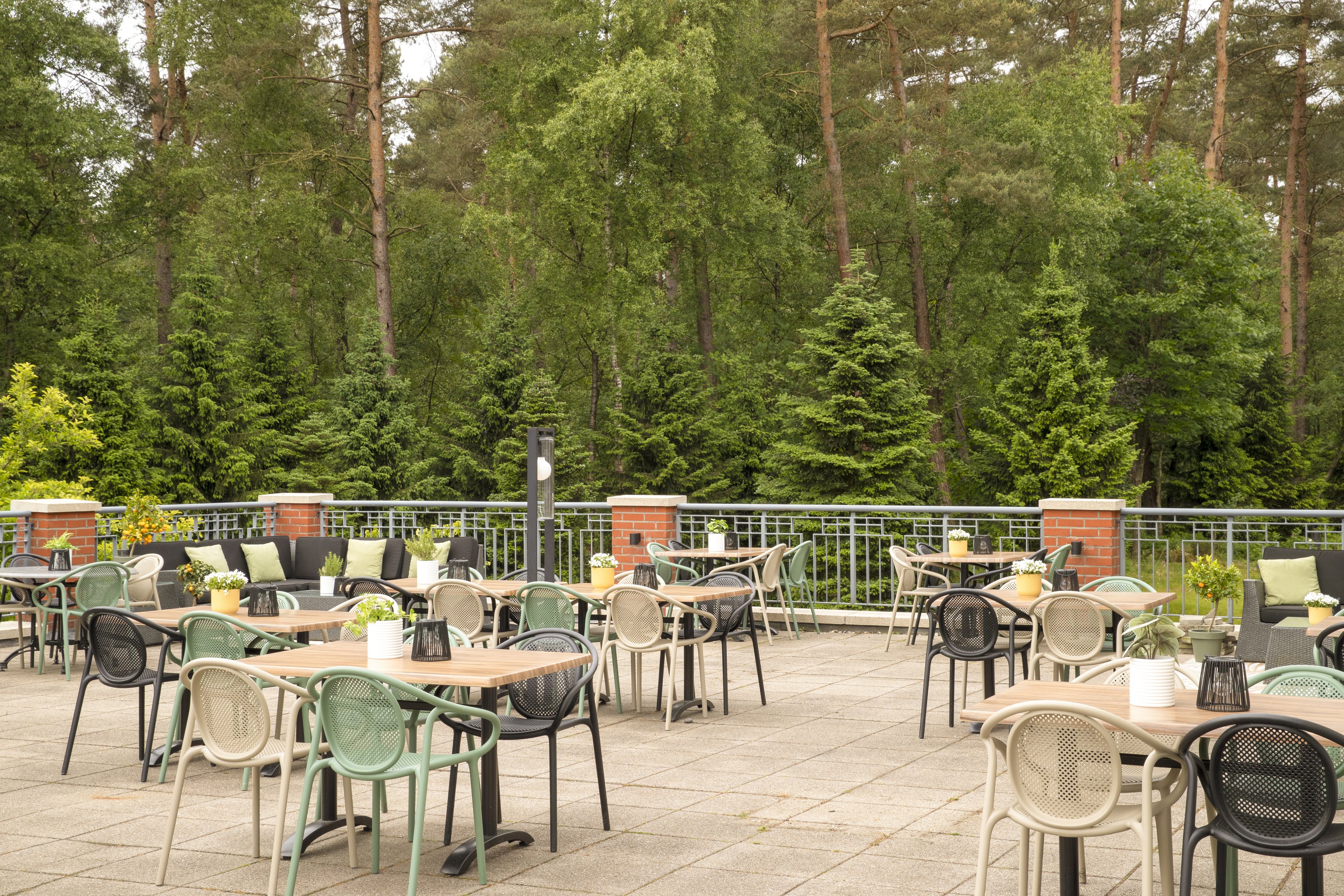 Gemütliche Grand Café Terrasse mit Lounge-Sofas und grünen Stühlen umgeben von üppigem Wald bei Residence Groot Heideborgh.