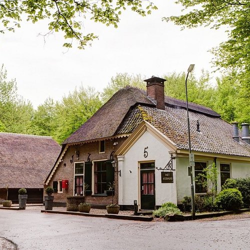 Boshuis Drie in Ermelo, surrounded by lush green forest