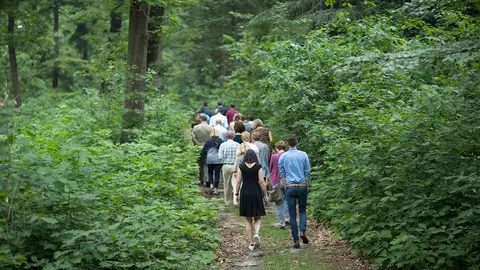 Wandelende mensen tijdens een lunchwandeling in het bos