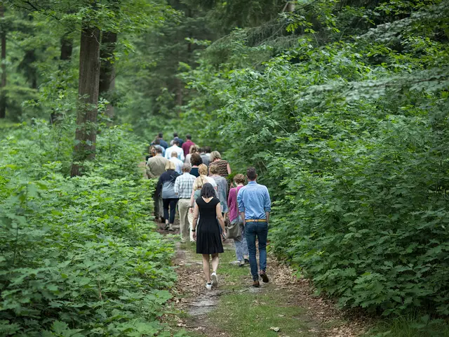 Wandelende mensen tijdens een lunchwandeling in het bos