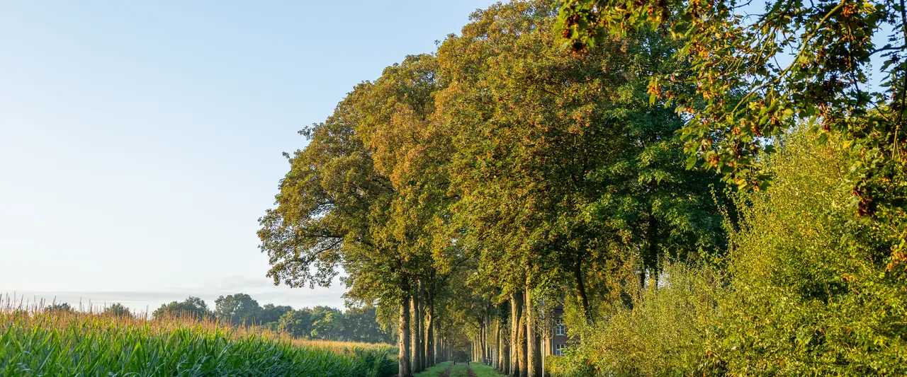 Chateau Holtmuhle