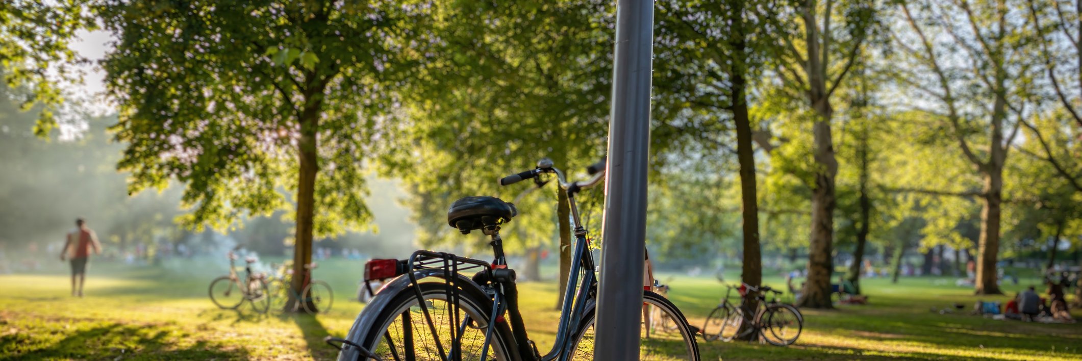 Een fiets in een park