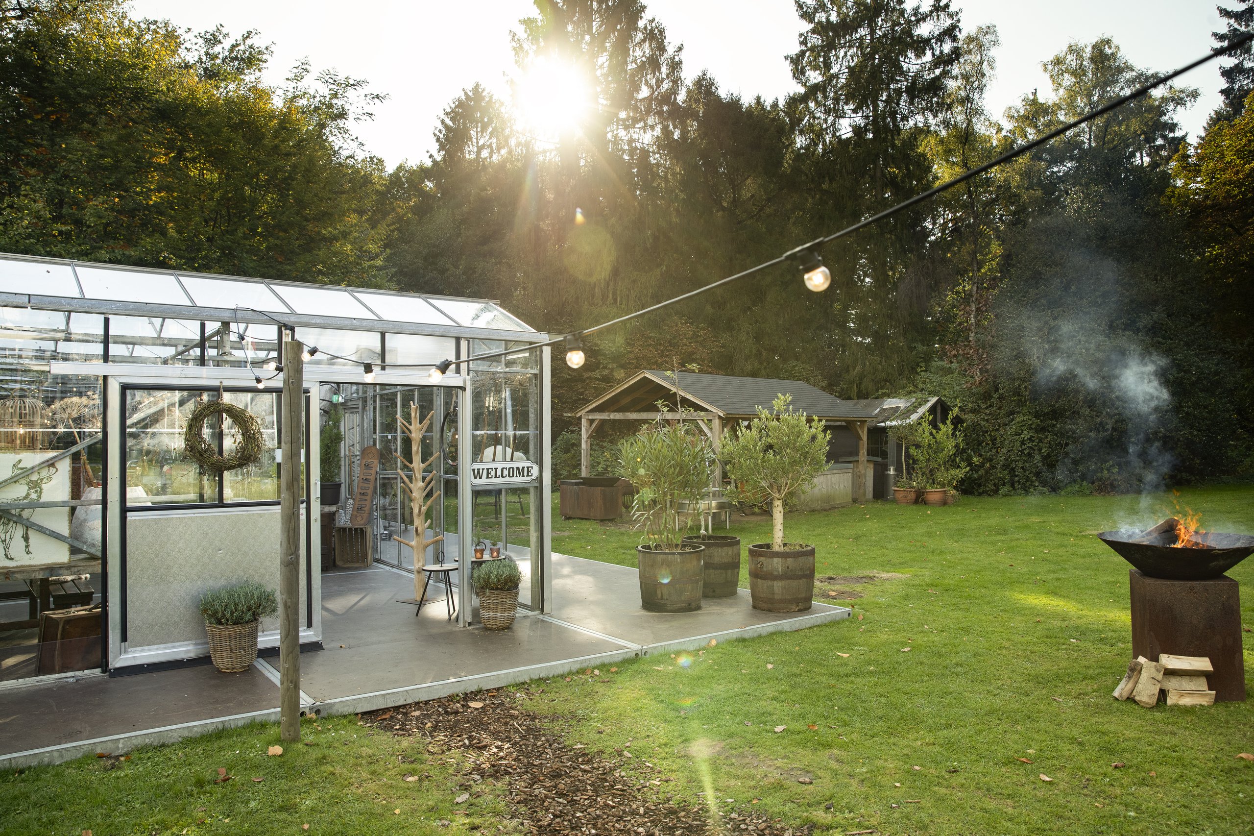 Aanzicht vanaf de zijkant van de glazen kas in het bos Winter in the Woods bij Hotel De Bilderberg tijdens Golden Hour