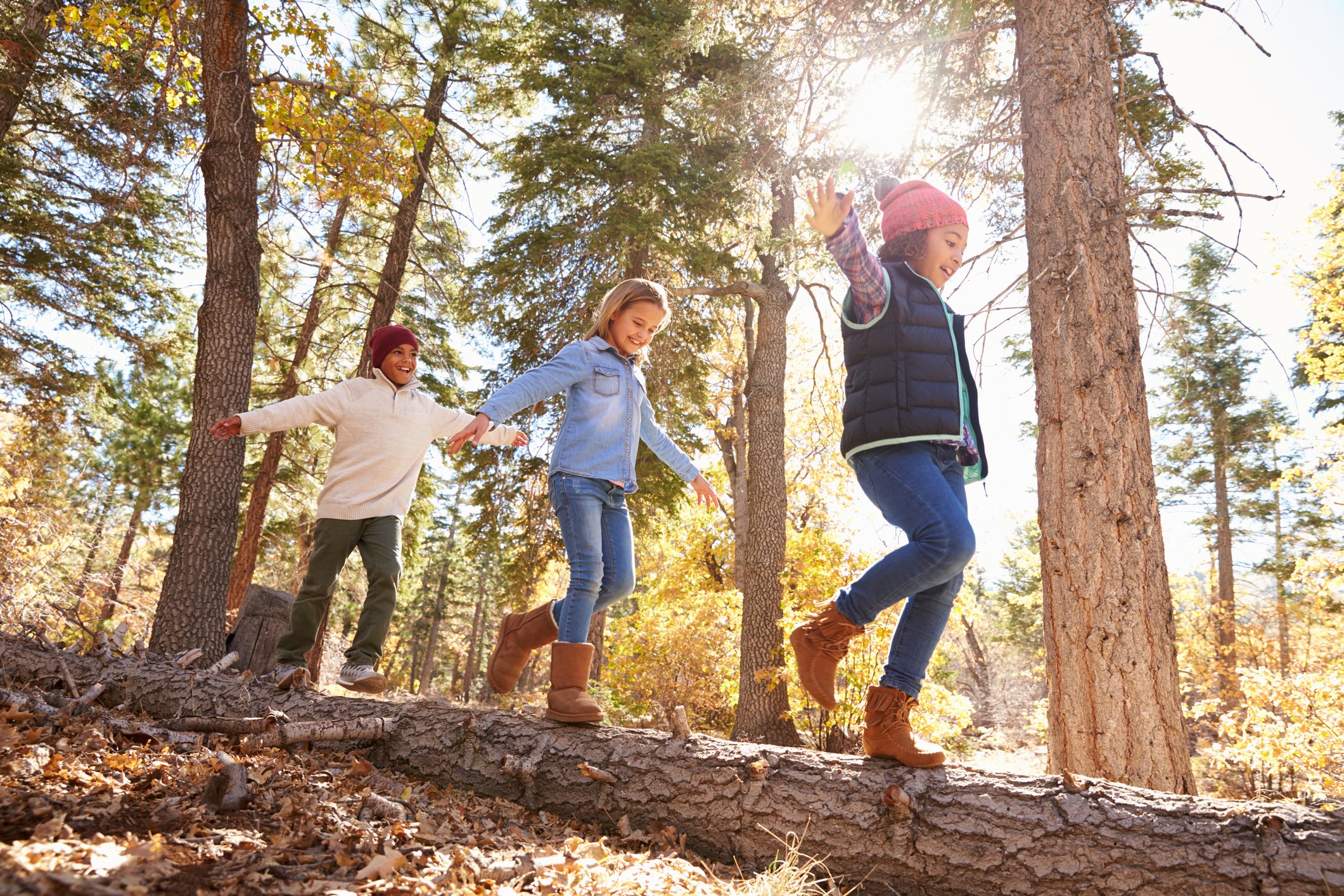 Kinderen spelen in het bos