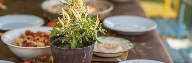 Italiaans gedekte tafel met plantje en eten