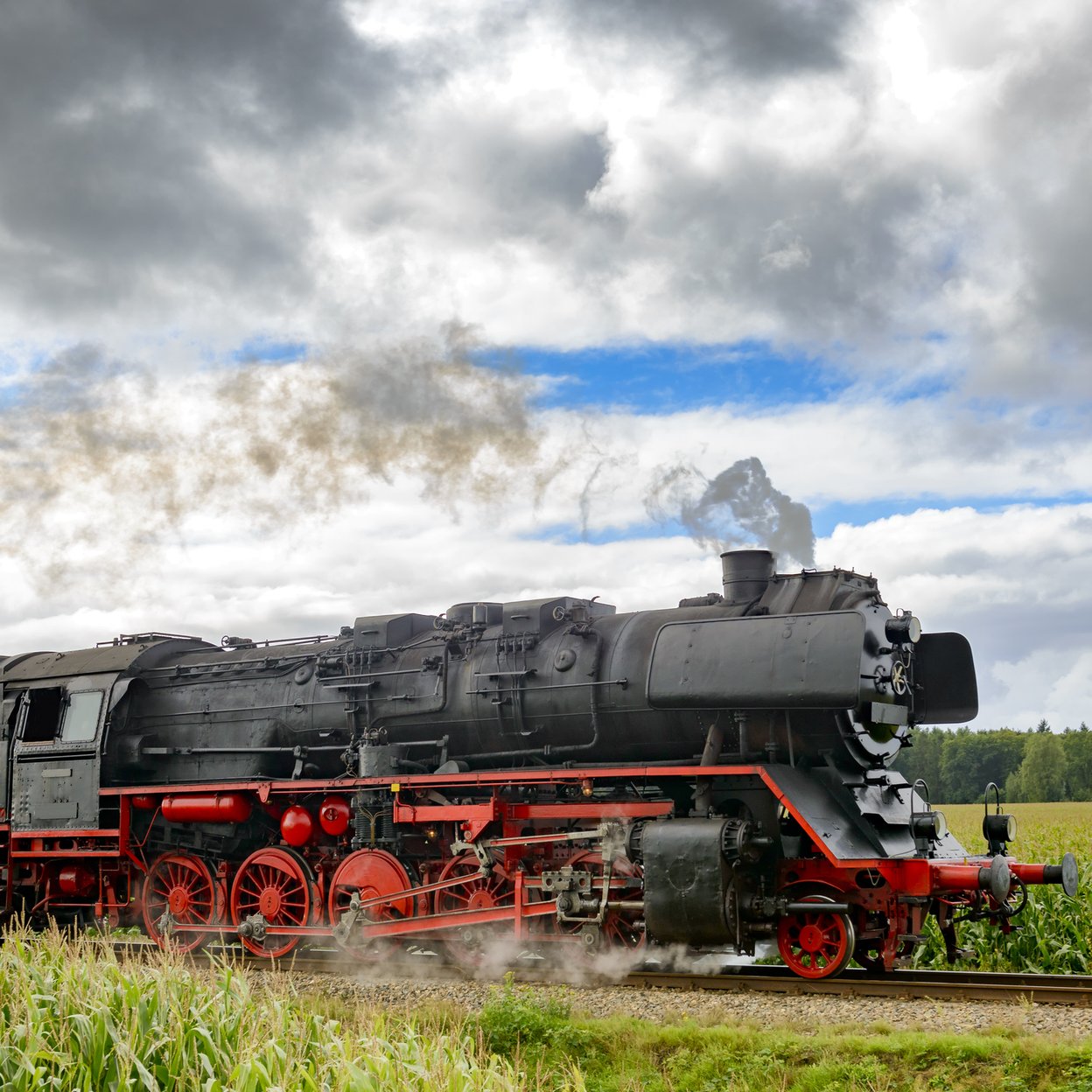 Veluwse Stoomtrein die door een weiland rijdt.