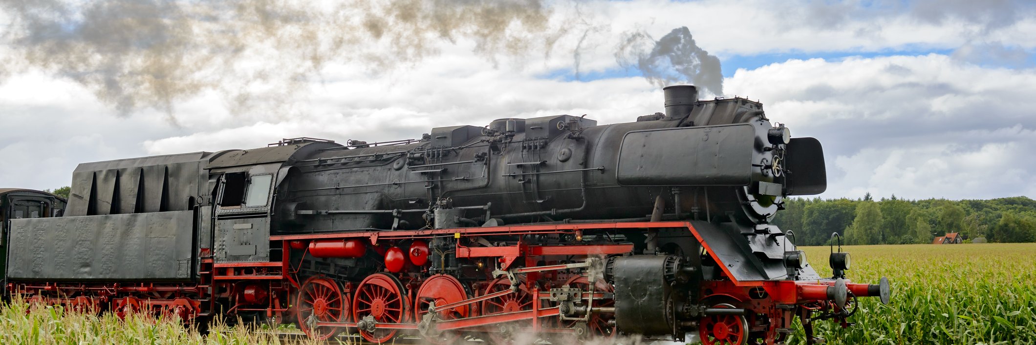 Veluwse Stoomtrein die door een weiland rijdt.