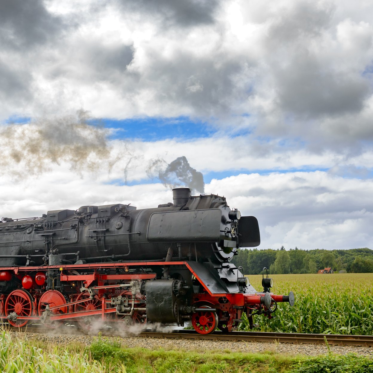 Veluwse Stoomtrein die door een weiland rijdt.