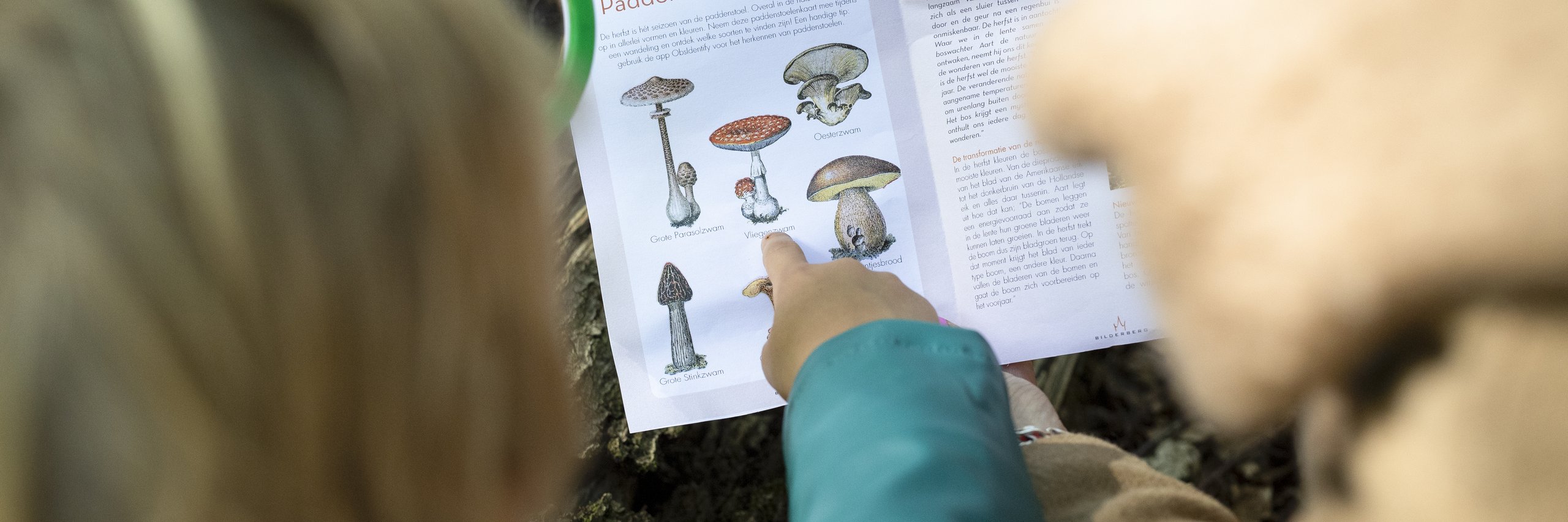 Een jongen samen met een vrouw, zoekend naar paddenstoelen in het bos.