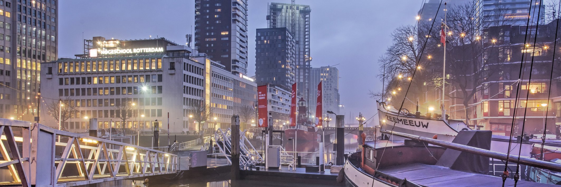 Rotterdamse haven en stad in de mist