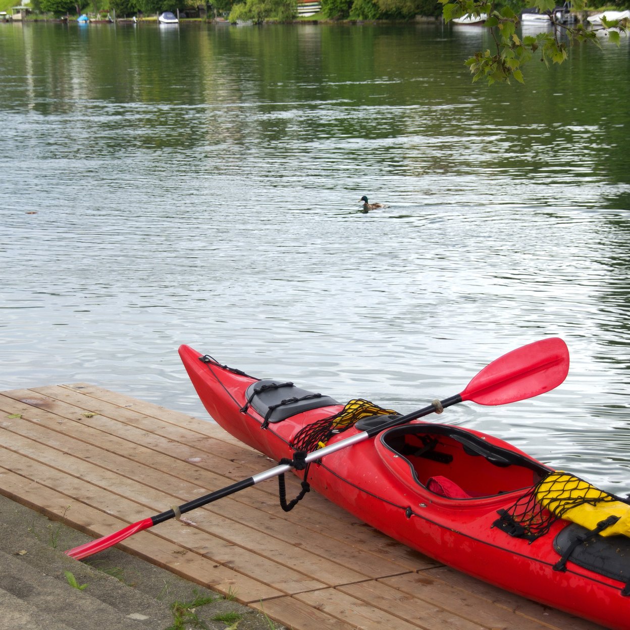Kanoën op de Rijn bij Renkum / de Linge