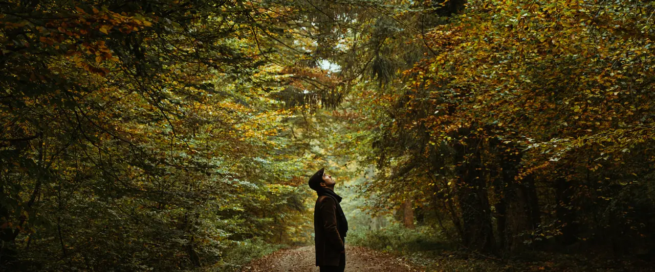 Man in het bos, starend naar de lucht